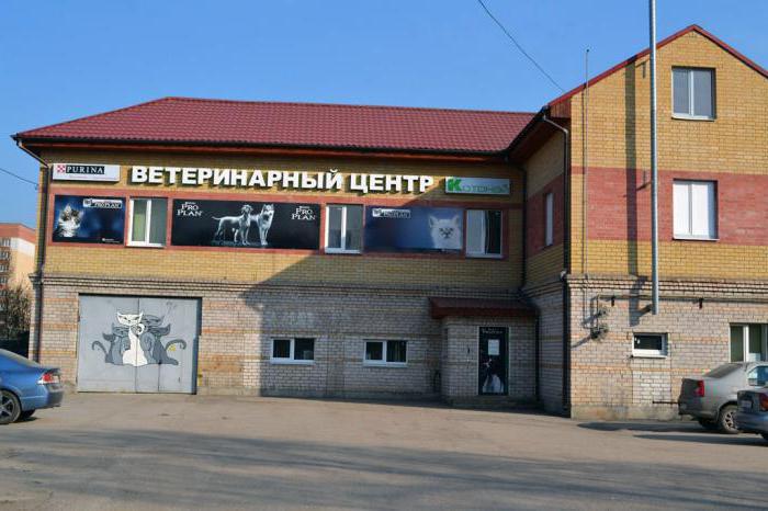 Veterinärkliniker i Pskov
